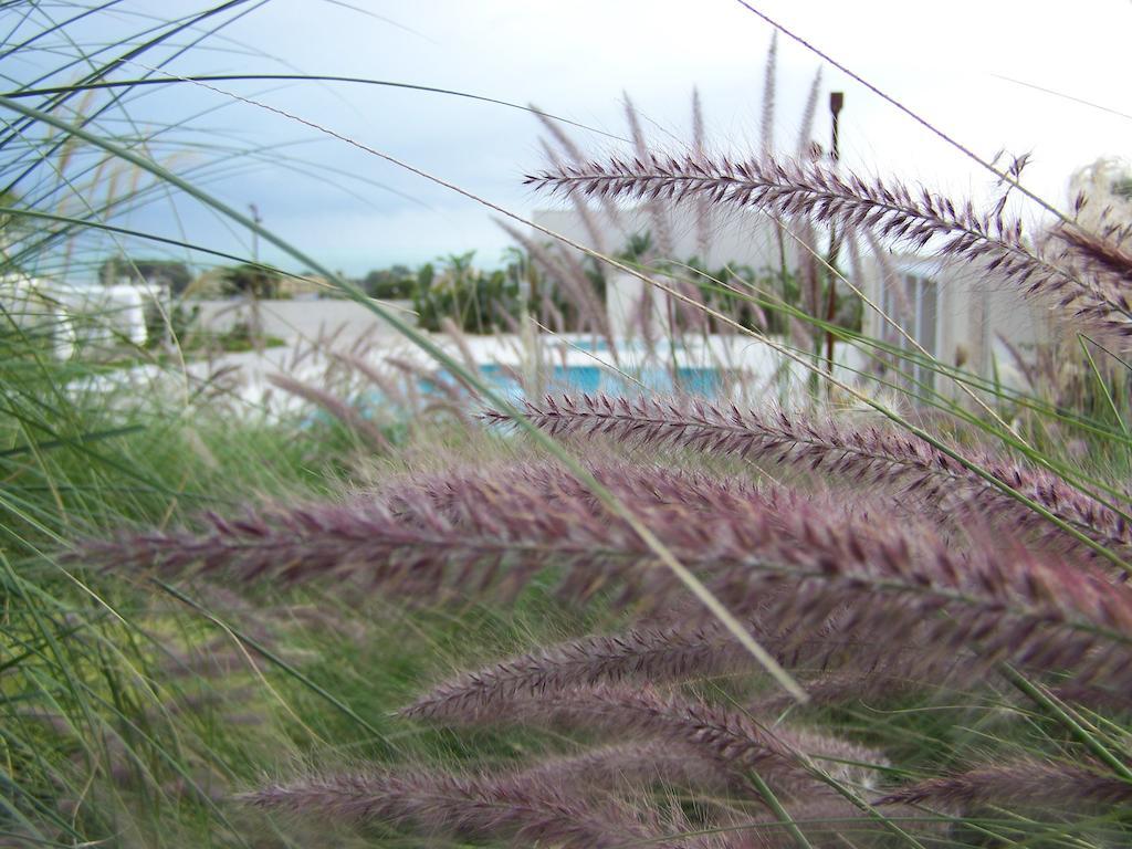 Aparthotel La Scibina 4*